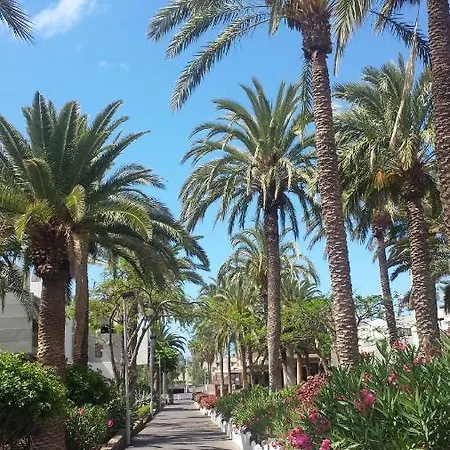 Simple Frontera Primavera Pool In South Tenerife Appartement Costa Del Silencio